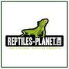 Reptiles Planet