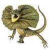 Lagartos